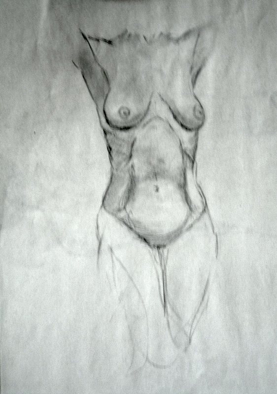 Figure torso study